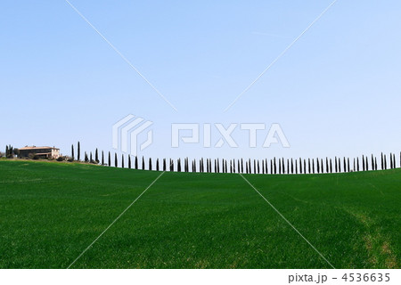 トスカーナ ヴァル・ドルチャ トスカーナ ヴァル・ドルチャ 4536635