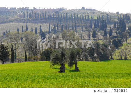 トスカーナ　ヴァル・ドルチャ 4536653