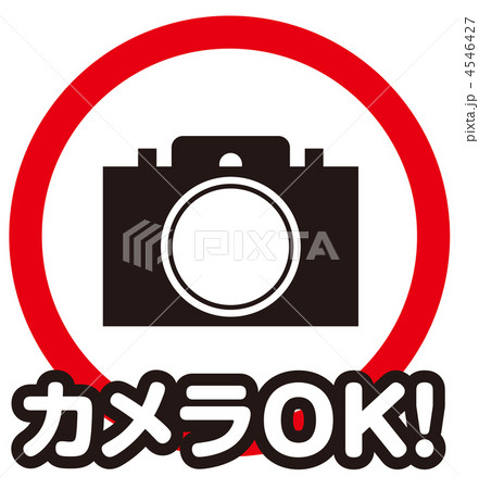 カメラOK-1 4546427