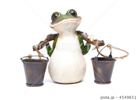 frog with buckets 4549651