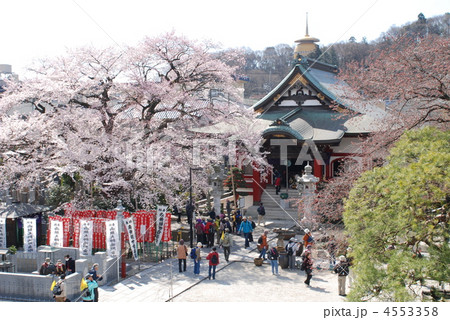 八王子　高尾　大光寺 4553358