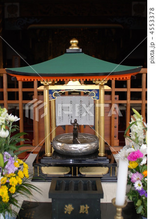 花まつり　大光寺 4553378