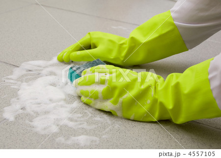 sponge sponge 4557105