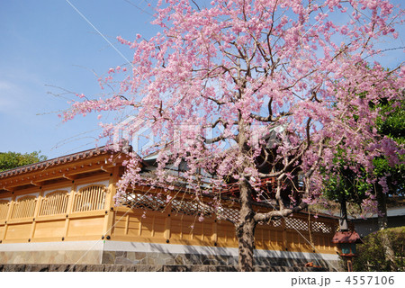 八王子 永林寺 八王子 永林寺 4557106
