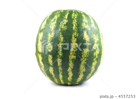 watermelon watermelon 4557253
