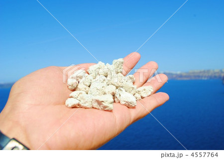 軽石 軽石 4557764