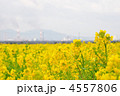 4557806