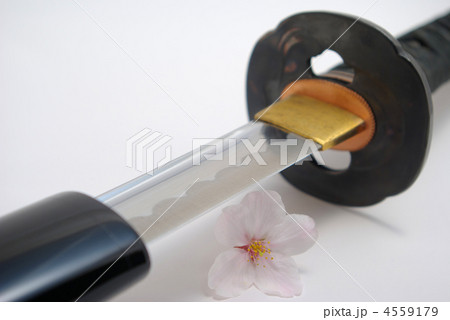 刀と桜の花 4559179