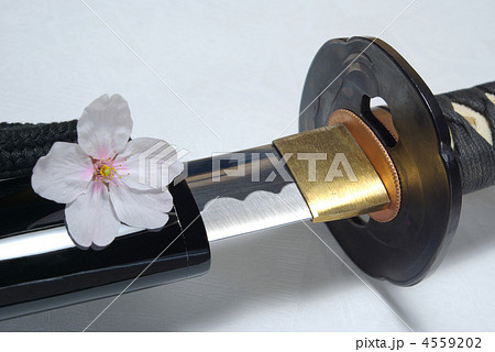 刀と桜の花 4559202