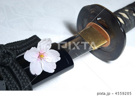 刀と桜の花 4559205