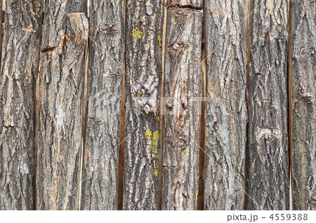 bark vertical slabs bark vertical slabs 4559388