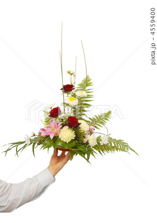 presentation of a bouquet 4559400