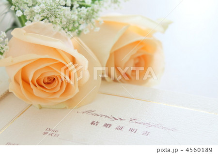 ウェディング　花　薔薇 4560189