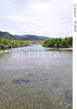 番匠川 番匠川 4560975