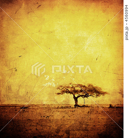 grunge image of a tree on a vintage paper grunge image of a tree on a vintage paper 4560994