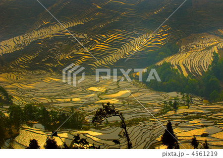 rice terraces of yuanyang,  yunnan, china 4561219