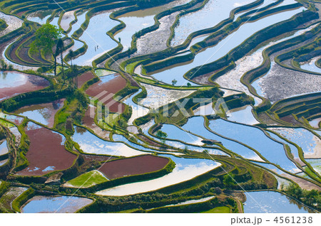 rice terraces of yuanyang,  yunnan, china 4561238