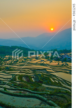 rice terraces of yuanyang,  yunnan, china 4561245