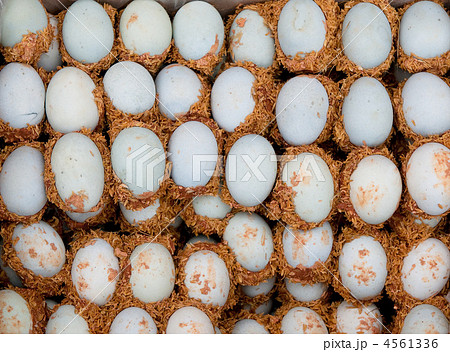 chinese century eggs 4561336