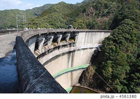 佐伯市 佐伯市 4561380