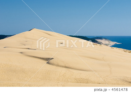 Pyla dune, the largest sand dune in Europe Pyla dune, the largest sand dune in Europe 4561478