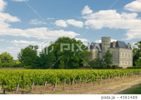 Chateau and vineyard in Margaux, Bordeaux, France 4561489