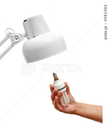 Energy saving light bulb in hand and lamp isolated on white background 4561493
