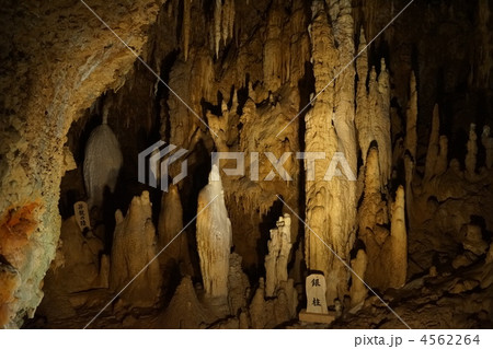 玉泉洞 4562264