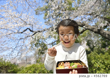 お弁当 お弁当 4562769