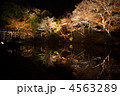 京都　ライトアップ 4563289