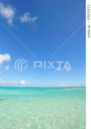 大金久海岸・百合ヶ浜（与論島） 4563921