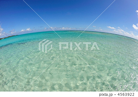 大金久海岸・百合ヶ浜（与論島） 4563922