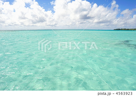 大金久海岸・百合ヶ浜（与論島） 4563923