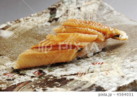 握り寿司穴子 握り寿司穴子 4564031