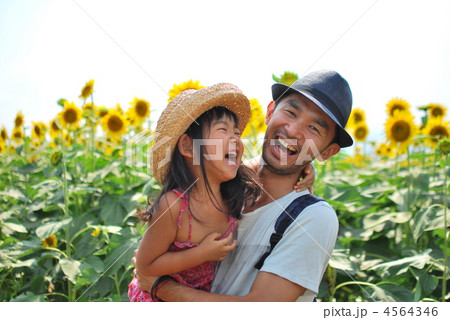 ひまわり 4564346