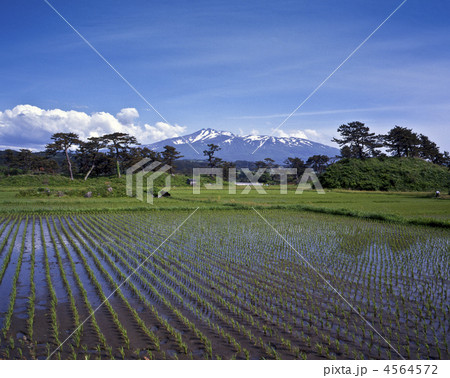 秋田・象潟と鳥海山 秋田・象潟と鳥海山 4564572