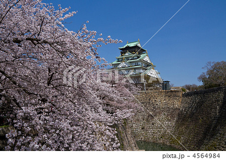 大阪城西の丸庭園の桜 4564984
