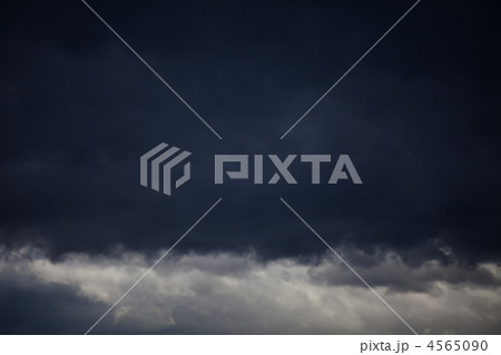 春　嵐の予感 4565090