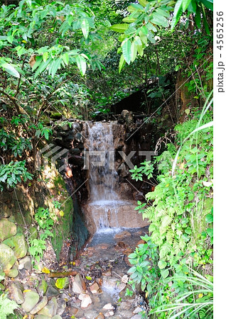 台湾 北投温泉 台湾 北投温泉 4565256