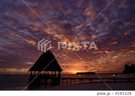 南国の夕焼け 南国の夕焼け 4565326