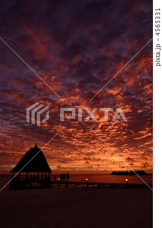 南国の夕焼け 4565331