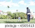 芝生を歩く親子 4565413