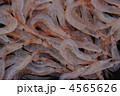 白海老（シロエビ） 4565626