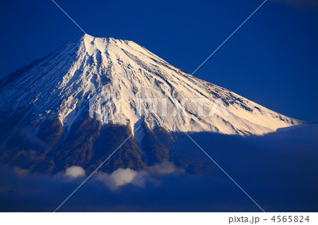 papa.611 papa.611 4565824