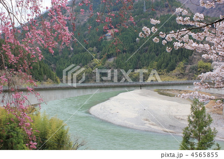 伊那小沢の春 伊那小沢の春 4565855