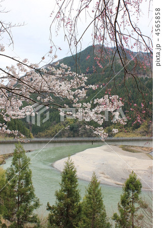 伊那小沢の春 4565858