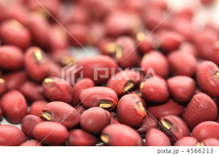 ササゲ ササゲ 4566213