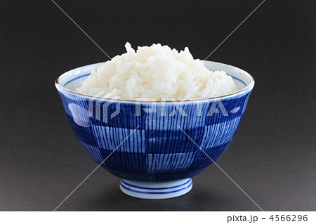 白いごはん 白いごはん 4566296