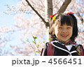 入学したよ 4566451