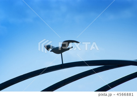 カモメのオブジェ カモメのオブジェ 4566881